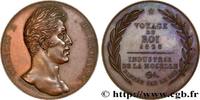 FRANCE Médaille, Voyage de Charles X en Moselle CHARLES X 57 - Moselle 1828 (45mm, 45g, 12h) -