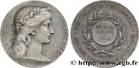 FRANCE Médaille, Ravitaillement des armées PREMIÈRE GUERRE - WWI 1914-1918 (35,5mm, 21,29g, 12h) AU