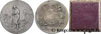 FRANCE Médaille de récompense, Société d’horticulture SOCIÉTÉS D'AGRICULTURE, HORTICULTURE, PÊCHE ET CHASSE Tunisie, Tunis n.d. (30,5mm, 13,06g, 12h) -