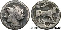 Classic 3 (350 BC to 323 BC) Nomos, statère ou didrachme CAMPANIA - NEAPOLIS Naples, Campanie c. 340-325 AC. (21mm, 6,28g, 6h) -