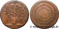 BRITISH TOKENS OR JETTONS 1/2 Penny - Newent (Glocesterchire) BRITISH TOKENS OR JETTONS 1796 (28mm, 11,09g, 6h) -
