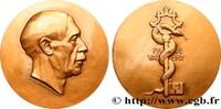 FRANCE Médaille, Paul Valéry, refrappe (1934)/1968 LITTÉRATURE : ÉCRIVAI... 60.74 £ Tax included +  15.62 £ shipping