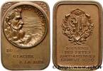 FRANCE Médaille, Souvenir des fêtes Rhodaniennes SUISSE 1929 (34mm, 19,97g, 12h) -