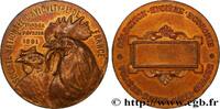 FRANCE Médaille de récompense, Sélection hygiène et écono SOCIÉTÉS D'AGRICULTURE, HORTICULTURE, PÊCHE ET CHASSE n.d. (37,5mm, 22,30g, 12h) -