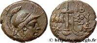 Hellenistic 2 (188 BC to 30 BC) Unité PONTUS - AMISOS Amisos, Pont c. 85-65 AC. (19mm, 8,77g, 12h) -