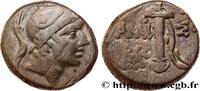Hellenistic 2 (188 BC to 30 BC) Unité PONTUS - AMISOS Amisos, Pont c. 85-65 AC. (18,5mm, 8,38g, 12h) -