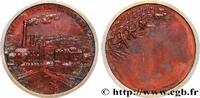 FRANCE Médaille, Société sucrière de Rio Branco SOCIÉTÉS D'AGRICULTURE, HORTICULTURE, PÊCHE ET CHASSE n.d. (46mm, 51,46g, 12h) -