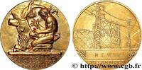FRANCE Médaille de mérite EDF / GDF, 35 années de service INDUSTRIE - GAZ ET ÉLECTRICITÉ n.d. (54,5mm, 67,51g, 12h) -