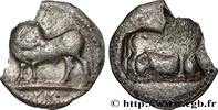 Archaïc 2 (550 BC to 480 BC) Nomos, statère ou didrachme LUCANIA - SYBARIS Sybaris, Lucanie c. 530-510 AC. (29mm, 6,21g, 12h) -