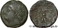 Hellenistic 1 (323 BC to 188 BC) Unité SICILY - SYRACUSE Syracuse, Sicile c. 215-214 AC. (21,5mm, 8,99g, 7h) -