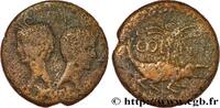 THE JULIO-CLAUDIANS (27 BC to 69 AD) Dupondius COL NEM (as) NEMAUSUS - NIMES - AUGUSTUS and AGRIPPA Nîmes c. 16/15 - 10 AC. (25mm, 11,87g, 9h) -