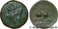 Hellenistic 2 (188 BC to 30 BC) Unité CILICIA - SOLOI Soloi, Cilicie c. 150-100 (20,5mm, 6,267g, 12h) -