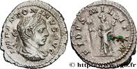 THE SEVERANS (193 AD to 235 AD) Denier ELAGABALUS Rome 219 (20mm, 2,82g, 12h) -