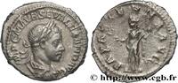 THE SEVERANS (193 AD to 235 AD) Denier SEVERUS ALEXANDER Rome 223 (18,5mm, 3,01g, 7h) -