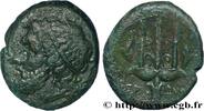Hellenistic 1 (323 BC to 188 BC) Litra SICILY - SYRACUSE Syracuse, Sicile c. 240-215 AC. (23,5mm, 8,99g, 12h) -