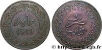 MOROCCO - HASSAN I 2 Fels (1/2 Mazouna) an 1310 MOROCCO - HASSAN I Fez 1892 (28mm, 5,83g, 6h) -