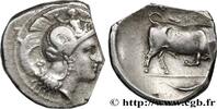 Hellenistic 1 (323 BC to 188 BC) Nomos, statère ou didrachme LUCANIA - THOURIOI Thurium c. 340 AC. (21mm, 7,50g, 9h) -