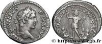 THE SEVERANS (193 AD to 235 AD) Denier 207 CARACALLA Rome 207 (18mm, 3,0... 164.86 £ Tax included +  15.62 £ shipping