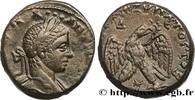 THE SEVERANS (193 AD to 235 AD) Tétradrachme syro-phénicien ELAGABALUS Antioche, Syrie, Séleucie et Piérie 218-220 (23mm, 13,82g, 6h) -