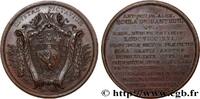 FRANCE Médaille, Civitas Pictavium, Ville de Poitiers à A LOUIS XVI 1786 (56,5mm, 90,48g, 12h) -