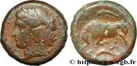 Hellenistic 1 (323 BC to 188 BC) Litra SICILY - SYRACUSE Syracuse, Sicile c. 317-310 AC. (22mm, 11,42g, 11h) -