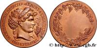 FRANCE Médaille, Société nationale d’encouragement à l’ag SOCIÉTÉS D'AGRICULTURE, HORTICULTURE, PÊCHE ET CHASSE n.d. (50,5mm, 60,89g, 12h) -