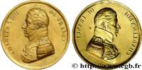 FRANCE Médaille, Charles X, tirage uniface du portrait CHARLES X n.d. (43,5mm, 1,94g, 12h) -