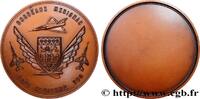 FRANCE Médaille, Base aérienne 106 ARMÉES 33 - Mérignac 1989 (73mm, 185,33g, 12h) -