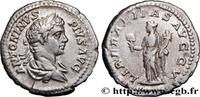 THE SEVERANS (193 AD to 235 AD) Denier CARACALLA Rome 208 (19mm, 3,54g, 12h) -