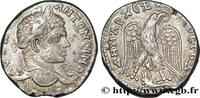 THE SEVERANS (193 AD to 235 AD) Tétradrachme syro-phénicien CARACALLA Antioche, Syrie, Séleucie et Piérie 215-217 (26,00mm, 13,97g, 1h) -
