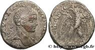 THE SEVERANS (193 AD to 235 AD) Tétradrachme syro-phénicien ELAGABALUS Antioche, Syrie, Séleucie et Piérie 218-220 (24,00mm, 13,04g, 12h) -