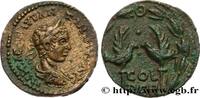 THE SEVERANS (193 AD to 235 AD) Semis ELAGABALUS Berytus, Phénicie c. 218-222 (19mm, 5,35g, 6h) -