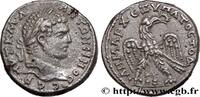 THE SEVERANS (193 AD to 235 AD) Tétradrachme syro-phénicien CARACALLA Akko-Ptolemais, Phénicie 215-217 (26mm, 12,06g, 12h) -