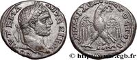 THE SEVERANS (193 AD to 235 AD) Tétradrachme syro-phénicien CARACALLA Akko-Ptolemais, Phénicie 215-217 (25mm, 13,83g, 12h) -