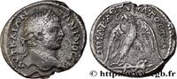 THE SEVERANS (193 AD to 235 AD) Tétradrachme syro-phénicien CARACALLA Caesarea Maritima, Palestine 215-217 (25mm, 11,64g, 6h) -