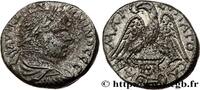 THE SEVERANS (193 AD to 235 AD) Tétradrachme syro-phénicien CARACALLA Sidon, Phénicie 215-217 (25mm, 14,51g, 12h) -