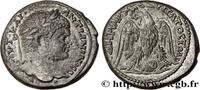 THE SEVERANS (193 AD to 235 AD) Tétradrachme syro-phénicien CARACALLA Damas, Syrie, Coelé-Syrie 215-217 (24,5mm, 14,06g, 6h) -