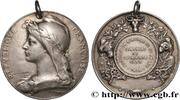 FRANCE Médaille, Concours de Lignières SOCIÉTÉS D'AGRICULTURE, HORTICULTURE, PÊCHE ET CHASSE 18 - Lignières 1892 (33,5mm, 16,25g, 12h) -