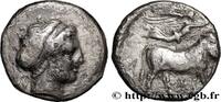 Classic 3 (350 BC to 323 BC) Nomos, statère ou didrachme CAMPANIA - NEAPOLIS Naples, Campanie c. 300-275 AC. (18,5mm, 6,54g, 12h) -