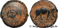 Hellenistic 1 (323 BC to 188 BC) Quart d’unité SYRIA - SELEUKID KINGDOM - ANTIOCHUS III THE GREAT Atelier incertain, Syrie c. 223-187 AC. (18mm, 4,42g, 6h) -