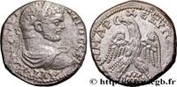 THE SEVERANS (193 AD to 235 AD) Tétradrachme syro-phénicien CARACALLA Gadara, Décapole 215-217 (23,5mm, 13,38g, 12h) -