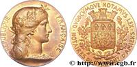 FRANCE Notaires d’Amiens NOTAIRES DU XIXe SIECLE n.d. (31,5mm, g, 12h) -