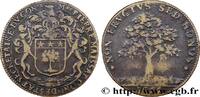 FRANCE Pierre Maissat, seigneur de Levéville NOBLESSE DE LA REGION CENTRE 1665 (28,5mm, 7,52g, 6h) -