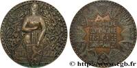 FRANCE Médaille, La Flandre, Compagnie d’assurances ASSURANCES n.d. (90mm, 348,98g, 12h) -