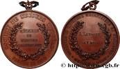 FRANCE Médaille, Membre participant, Employés et ouvriers ASSURANCES 1893 (52,5mm, 49,14g, 12h) -