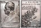 FRANCE Plaque, Louis Pasteur SCIENCES & SCIENTIFIQUES n.d. (67mm, 78,86g, 12h) -