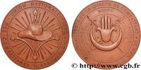 FRANCE Médaille, Union nationale des combattants d’Afriqu ARMÉES Monnaie de Paris 1976 (71,5mm, 176,02g, 12h) -