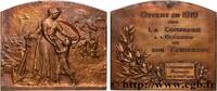 FRANCE Plaque, Offert par la Compagnie à l’occasion du ce ASSURANCES 1919 (63,5mm, 145,75g, 12h) -