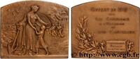 FRANCE Plaque, Offert par la Compagnie à l’occasion du ce ASSURANCES 1919 (63,5mm, 148,23g, 12h) -