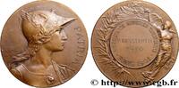 FRANCE Médaille, Patria, Assurance Mutuelle ASSURANCES Tunisie, Tunis 1910 (48,5mm, 56,61g, 12h) -